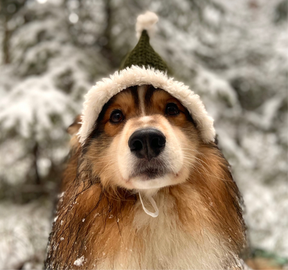 Koirien virkattu tonttulakki