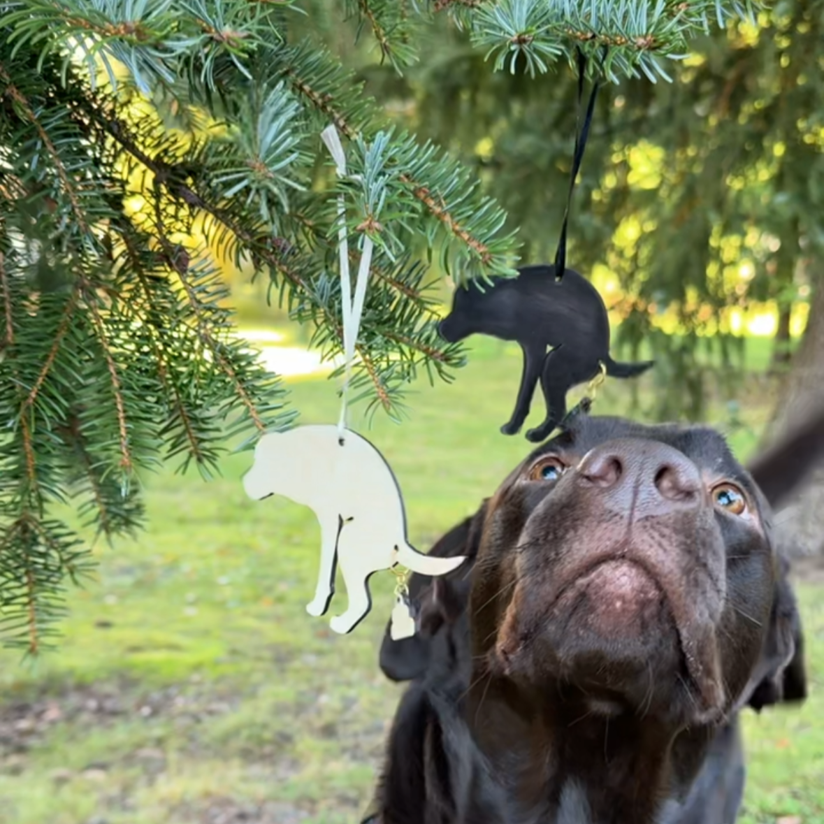 JOULUKORISTE koivuvaneri - ”Kakkalla”