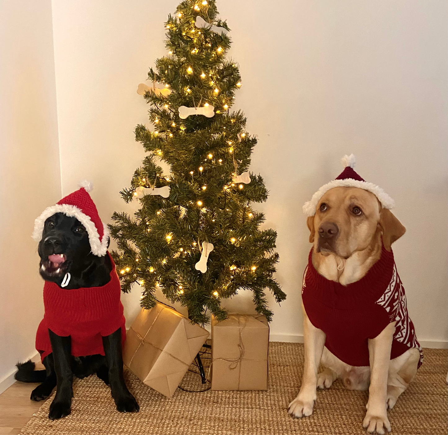 Koirien virkattu tonttulakki