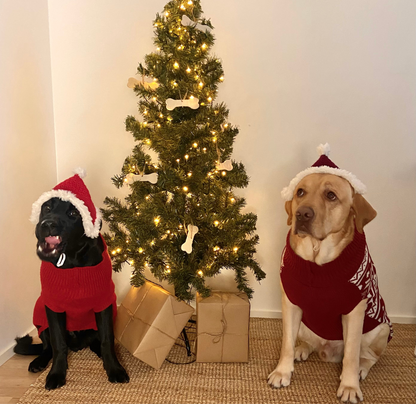 Koirien virkattu tonttulakki