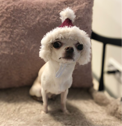 Koirien virkattu tonttulakki