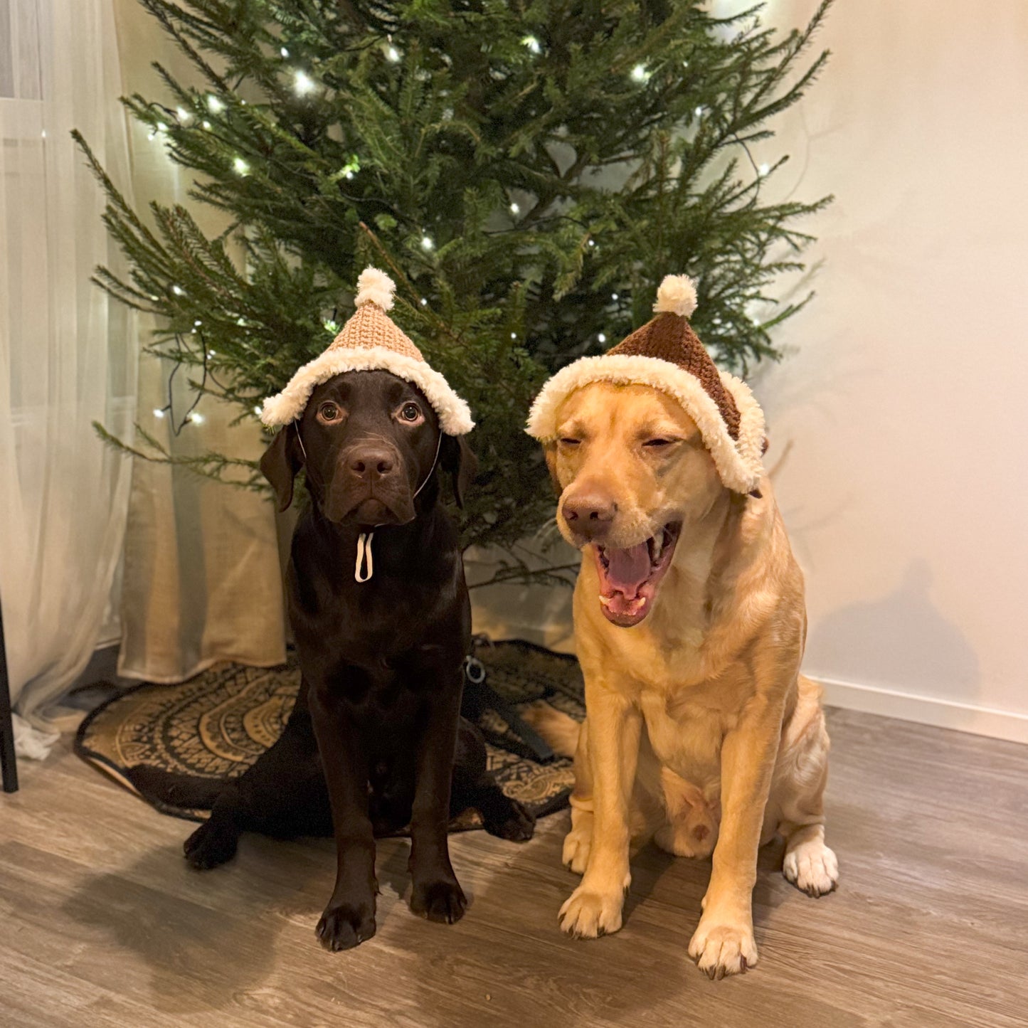 Koirien virkattu tonttulakki