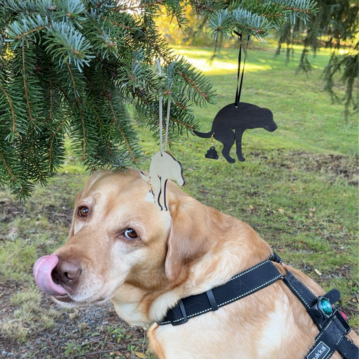 JOULUKORISTE koivuvaneri - ”Kakkalla”